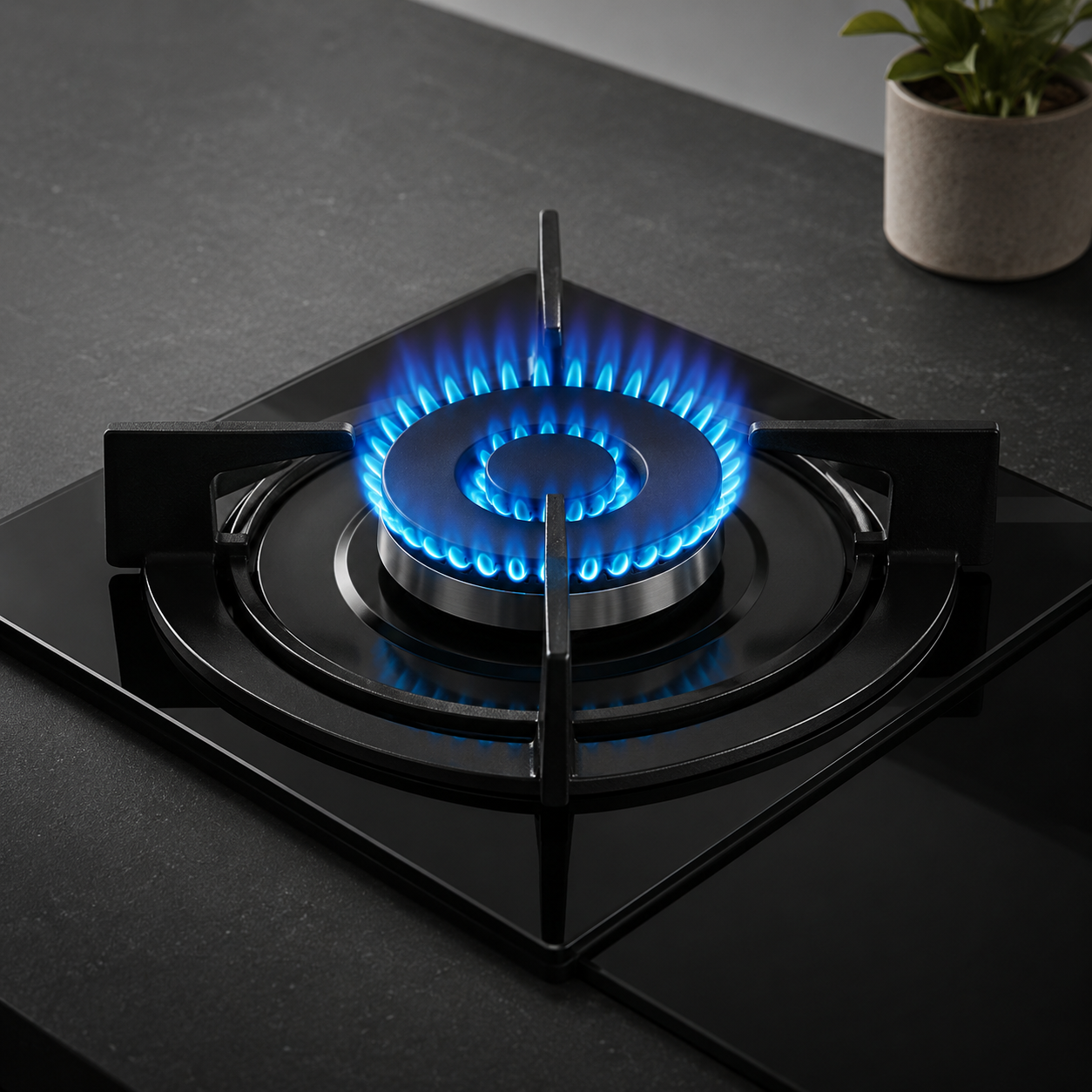 HOBS